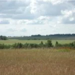 Дачный поселок «Солнечный берег» — цены, фото, отзывы