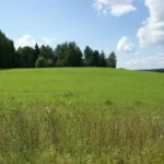 Дачный поселок «Антоновские усадьбы» — цены, фото, отзывы