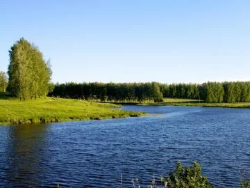Дачный поселок «Оленьковы дачи» — цены, фото, отзывы