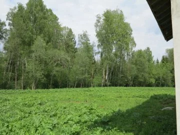 Коттеджный эко-поселок «Юрьевские пруды» — цены, фото, отзывы