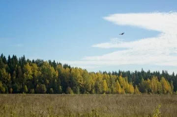 Дачный поселок «Любимово»