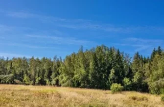 Коттеджный поселок «Звенигородский лес» — цены, фото, отзывы