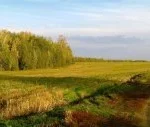Коттеджный поселок «Алмазово Парк» — цены, фото, отзывы