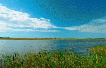 Коттеджный посёлок «Белое озеро» — цены, фото, отзывы