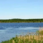 Клубный поселок «Савельево» — цены, фото, отзывы