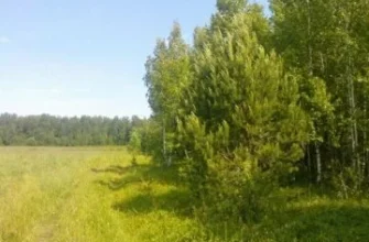 Коттеджный поселок «Ящерки» — цены, фото, отзывы