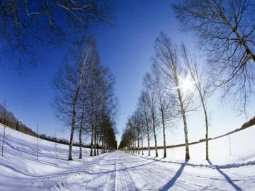 Коттеджный поселок "Woodland" (Вудлэнд)