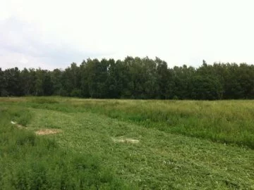 Коттеджный поселок "Woodland" (Вудлэнд)