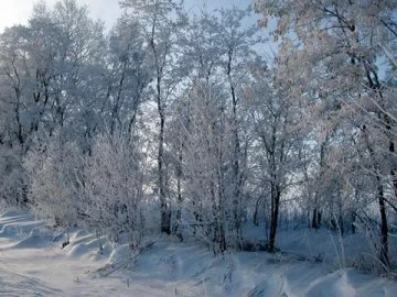Коттеджный поселок «Woodland» (Вудлэнд)» — цены, фото, отзывы