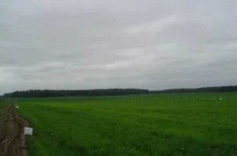 Дачный поселок «Михайловское» — цены, фото, отзывы