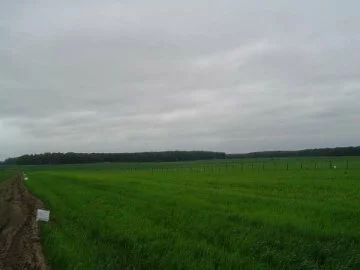 Дачный поселок «Михайловское» — цены, фото, отзывы