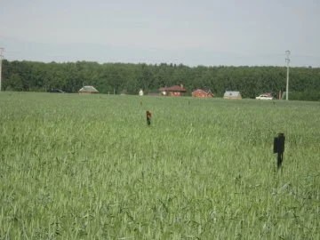 Коттеджный поселок «Гальчина Радуга» — цены, фото, отзывы