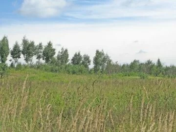 Коттеджный поселок «Матрешкино» — цены, фото, отзывы