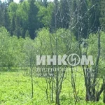 Дачный поселок «Кремлевский» — цены, фото, отзывы