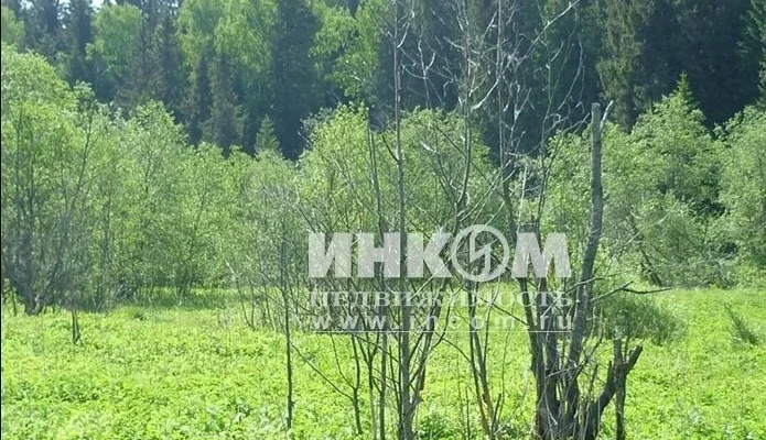 Дачный поселок «Кремлевский» — цены, фото, отзывы