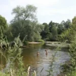 Коттеджный поселок «Искона River Club» — цены, фото, отзывы