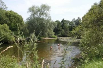 Коттеджный поселок «Искона River Club» — цены, фото, отзывы