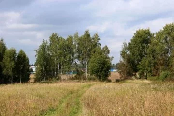 Дачный поселок «Задорино»