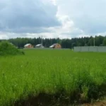 Дачный поселок «Захарьино» — цены, фото, отзывы