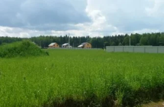 Дачный поселок «Захарьино» — цены, фото, отзывы