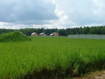 Дачный поселок «Захарьино» — цены, фото, отзывы