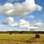 Коттеджный поселок «Сумароково» — цены, фото, отзывы