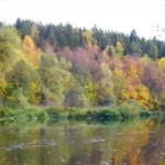 Коттеджный поселок «Речной берег» — цены, фото, отзывы