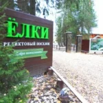 Реликтовый поселок «Елки» — цены, фото, отзывы