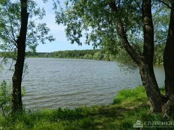 Коттеджный поселок «Дружный» — цены, фото, отзывы