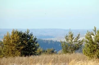 Коттеджный поселок «Журавлёво 2» — цены, фото, отзывы