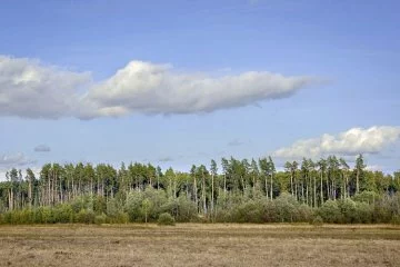 Дачный поселок «Александрово парк» — цены, фото, отзывы