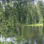 Жилой комплекс "Форест Клаб"