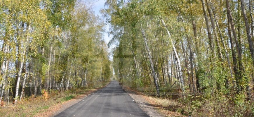 Дачный поселок «Чистые Пруды»